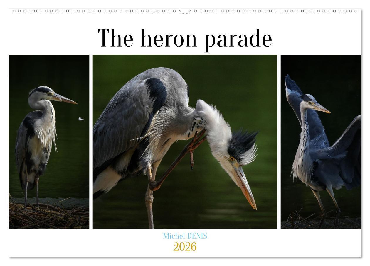 The heron parade (Wall Calendar 2026 DIN A2 landscape) CALVENDO 12 Month Wall Calendar