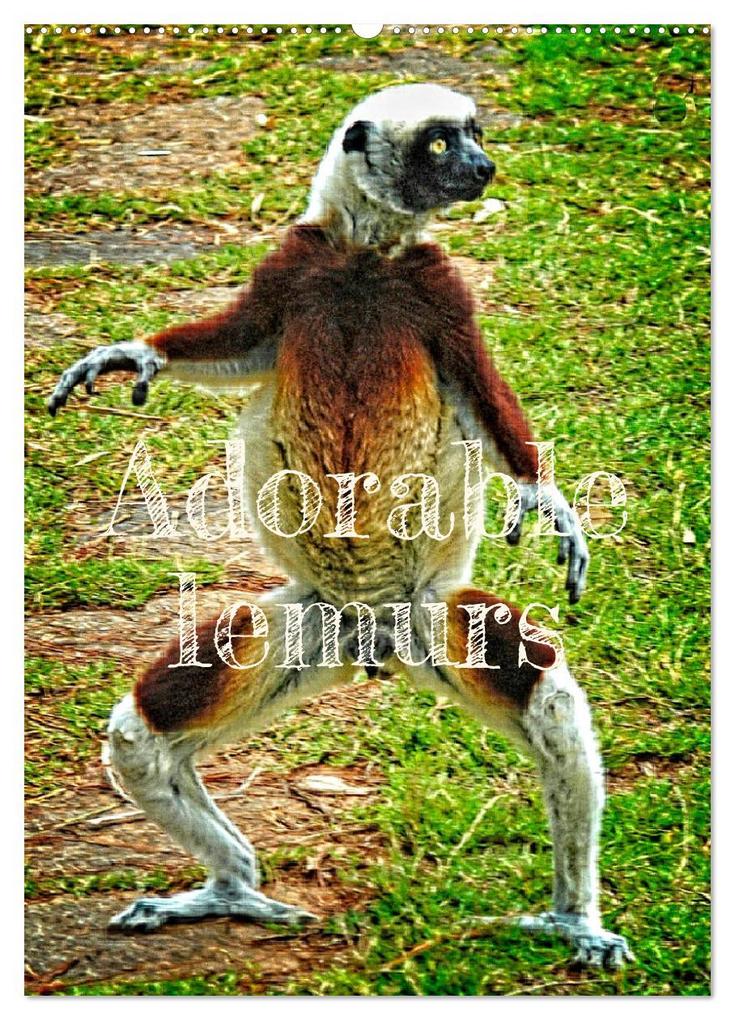 Adorable lemurs (Wall Calendar 2026 DIN A2 portrait) CALVENDO 12 Month Wall Calendar