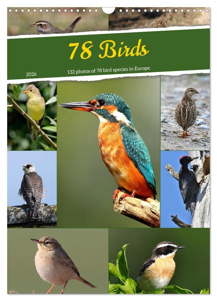 78 Birds (Wall Calendar 2026 DIN A3 portrait) CALVENDO 12 Month Wall Calendar