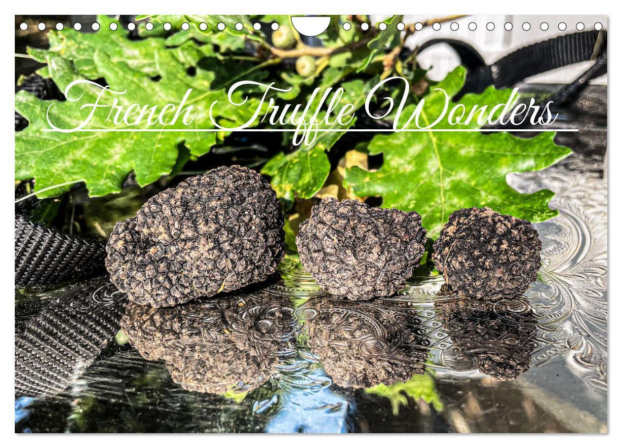 French Truffle Wonders (Wall Calendar 2026 DIN A4 landscape) CALVENDO 12 Month Wall Calendar