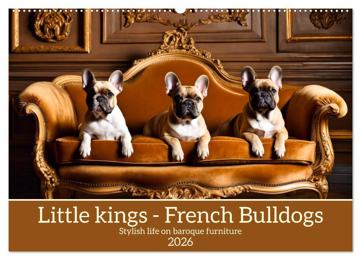 Little kings - French Bulldogs (Wall Calendar 2026 DIN A2 landscape) CALVENDO 12 Month Wall Calendar