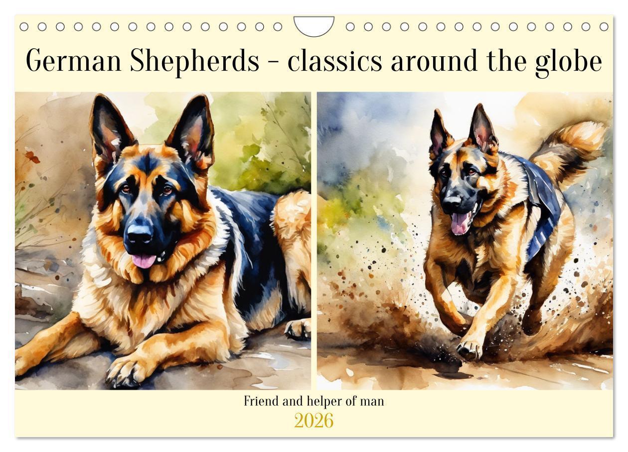 German Shepherds - classics around the globe (Wall Calendar 2026 DIN A4 landscape) CALVENDO 12 Month Wall Calendar