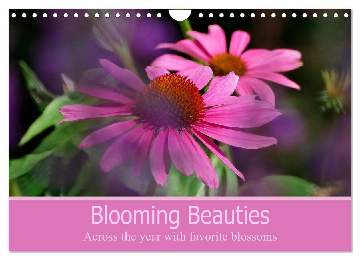 Blooming beauties (Wall Calendar 2026 DIN A4 landscape) CALVENDO 12 Month Wall Calendar