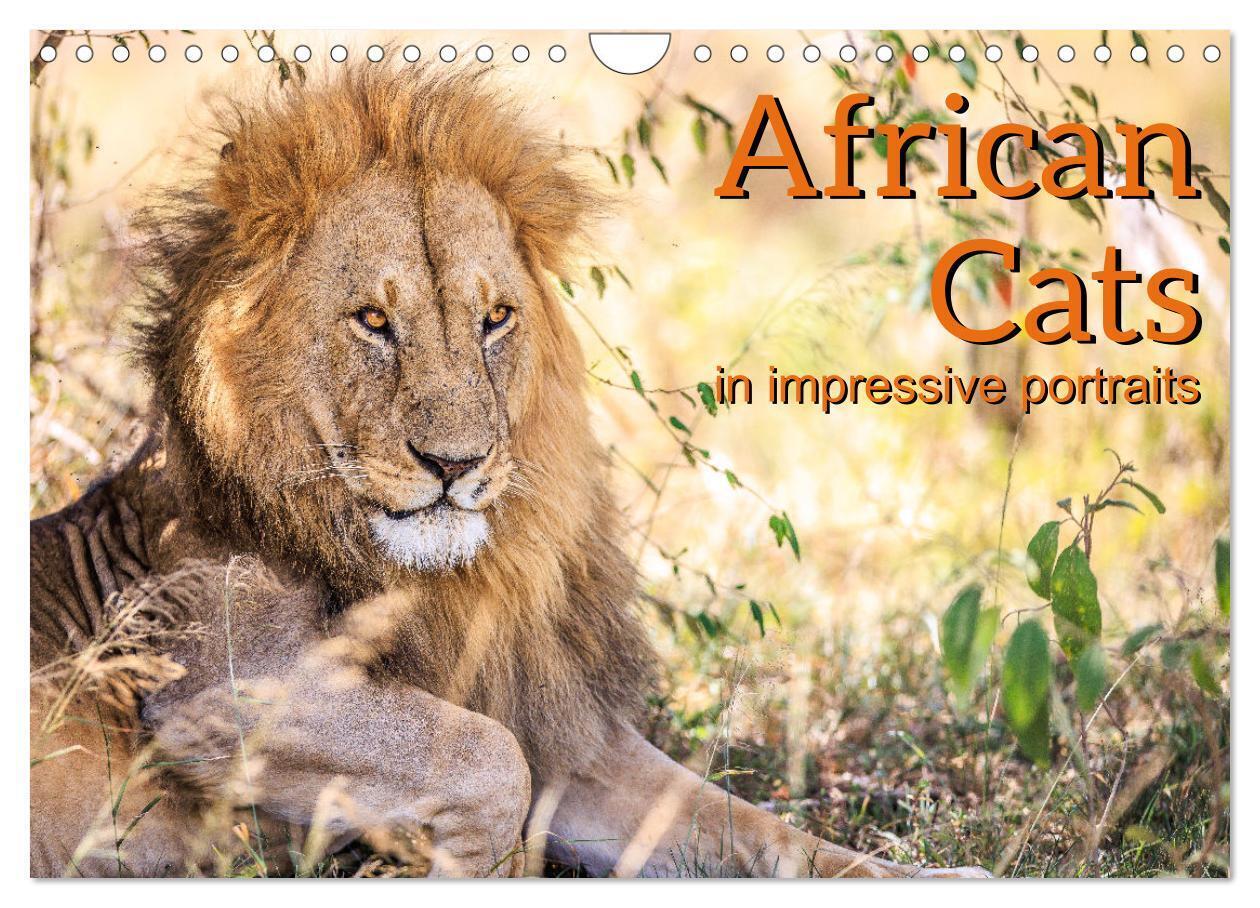 African Cats in impressive portraits (Wall Calendar 2026 DIN A4 landscape) CALVENDO 12 Month Wall Calendar