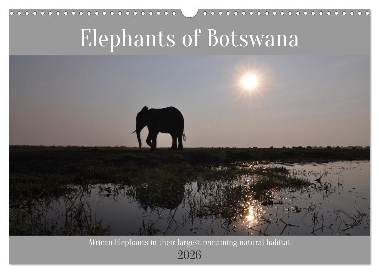 Elephants of Botswana (Wall Calendar 2026 DIN A3 landscape) CALVENDO 12 Month Wall Calendar