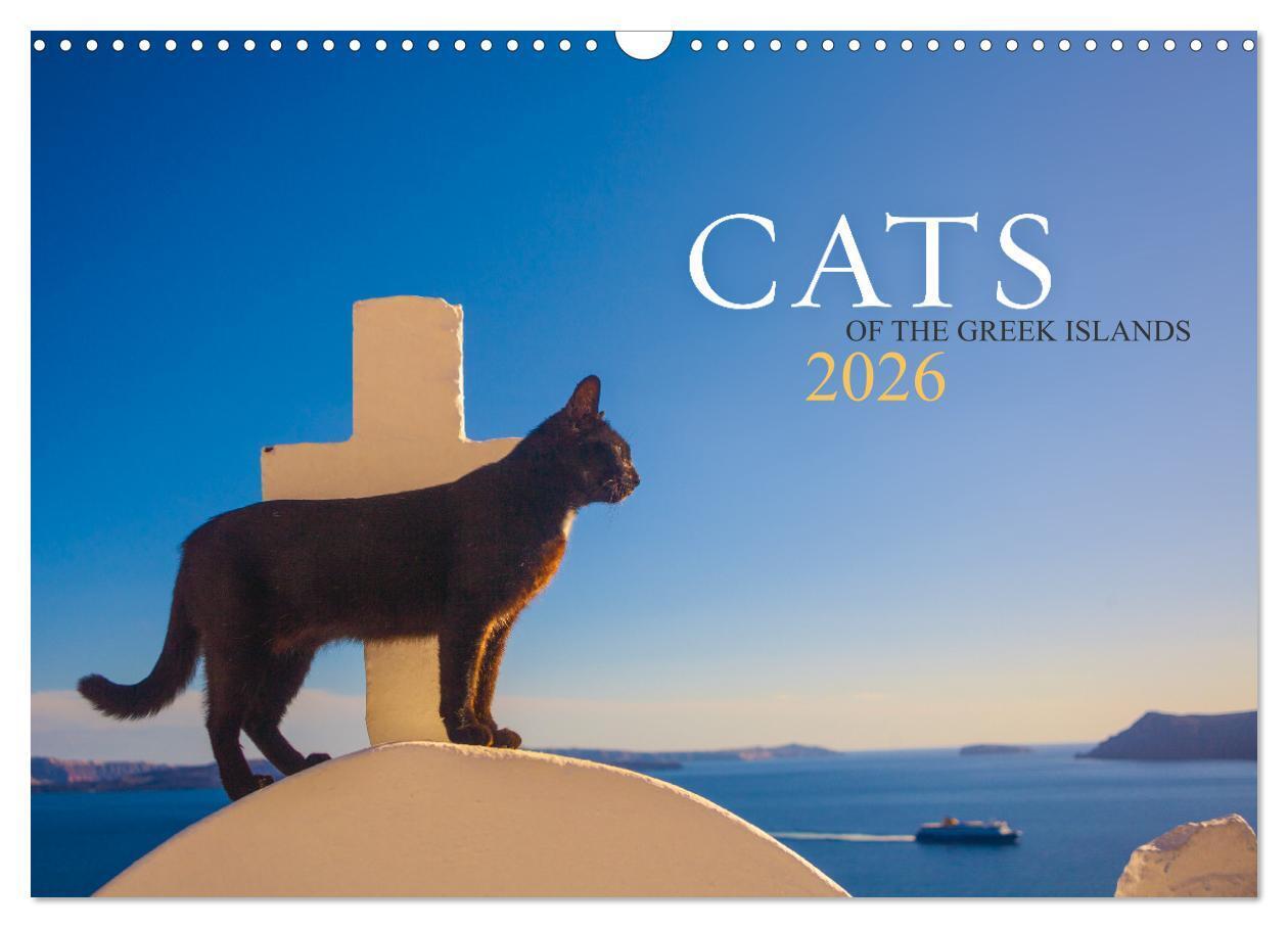 Cats of the Greek Islands (Wall Calendar 2026 DIN A3 landscape) CALVENDO 12 Month Wall Calendar