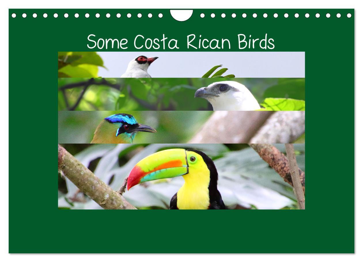 Some Costa Rican Birds (Wall Calendar 2026 DIN A4 landscape) CALVENDO 12 Month Wall Calendar