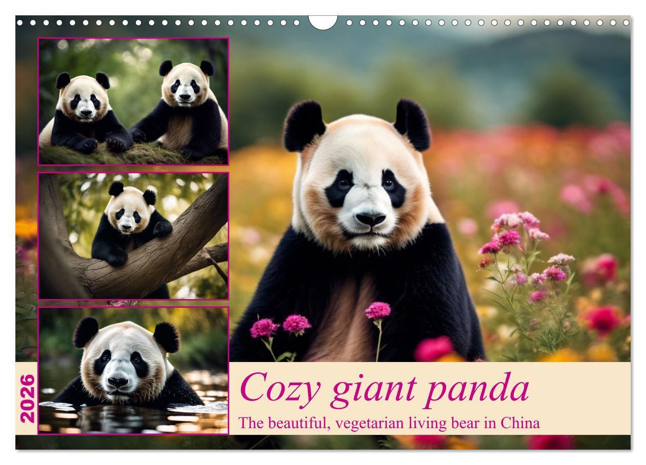 Cozy giant panda (Wall Calendar 2026 DIN A3 landscape) CALVENDO 12 Month Wall Calendar