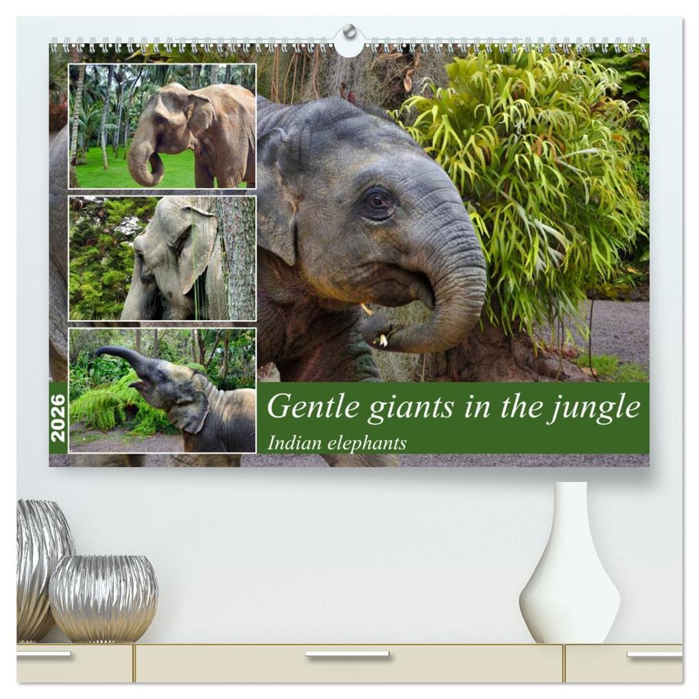 Gentle giants in the jungle (High Quality Premium Wall Calendar 2026 DIN A2 landscape)CALVENDO 12 Month Wall Calendar