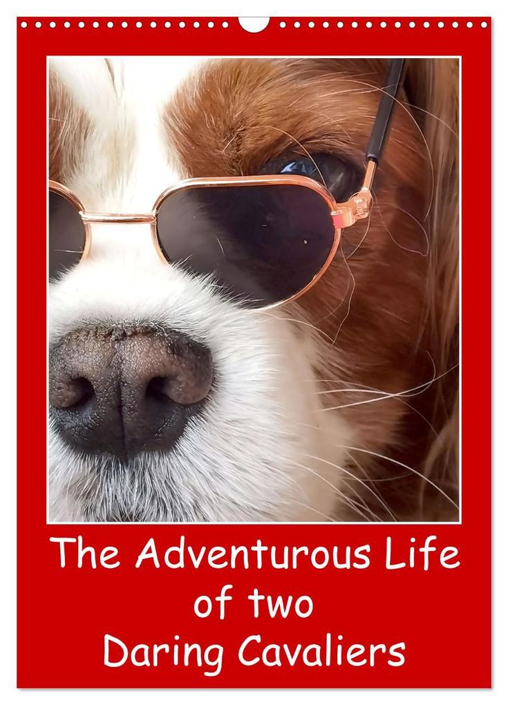 The Adventurous Life of two Daring Cavaliers (Wall Calendar 2026 DIN A3 portrait) CALVENDO 12 Month Wall Calendar