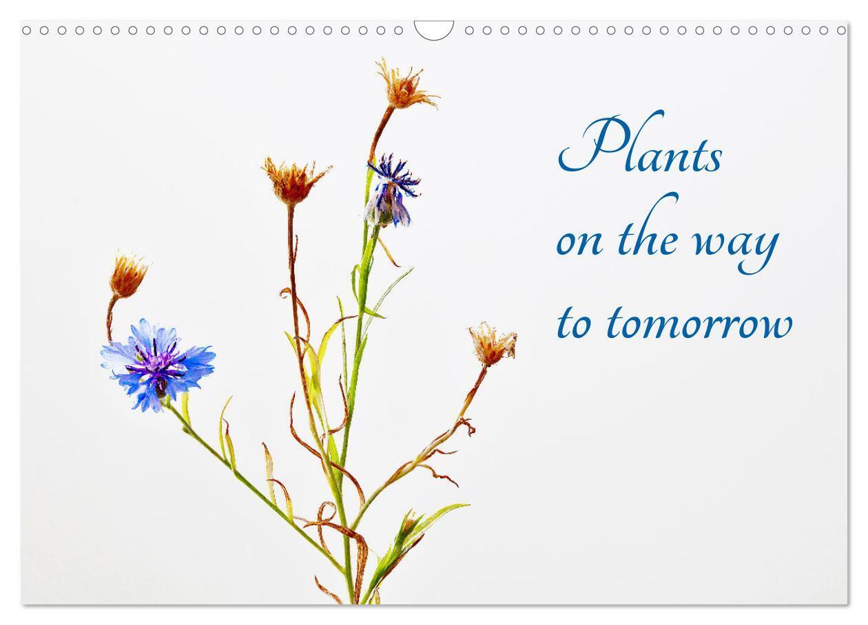 Plants on the way to tomorrow (Wall Calendar 2026 DIN A3 landscape) CALVENDO 12 Month Wall Calendar