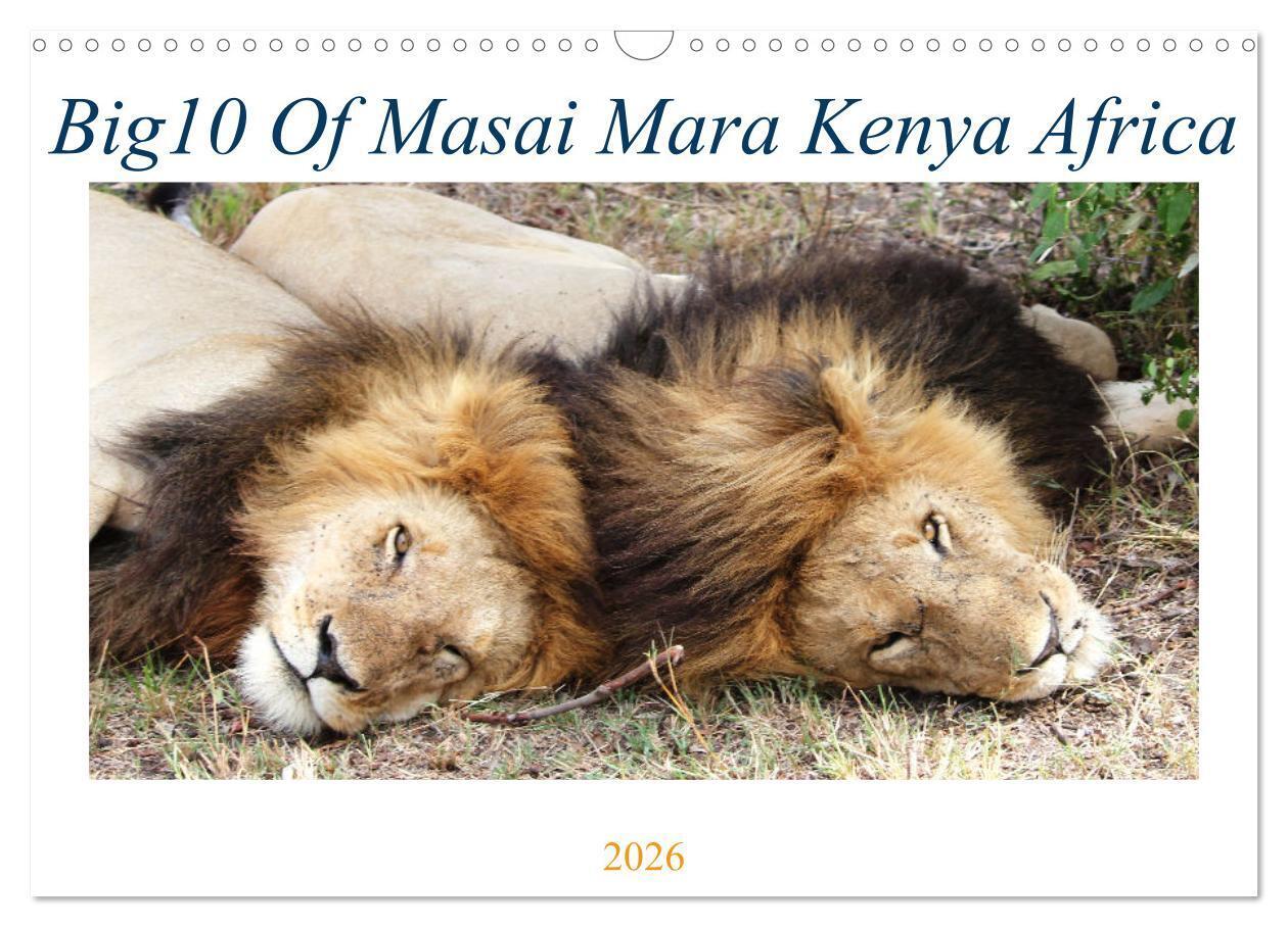 Big10 Of Masai Mara Kenya Africa (Wall Calendar 2026 DIN A3 landscape) CALVENDO 12 Month Wall Calendar
