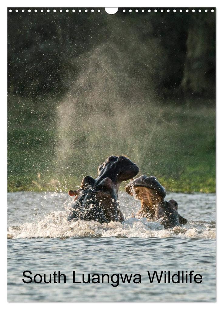 South Luangwa Wildlife (Wall Calendar 2026 DIN A3 portrait) CALVENDO 12 Month Wall Calendar