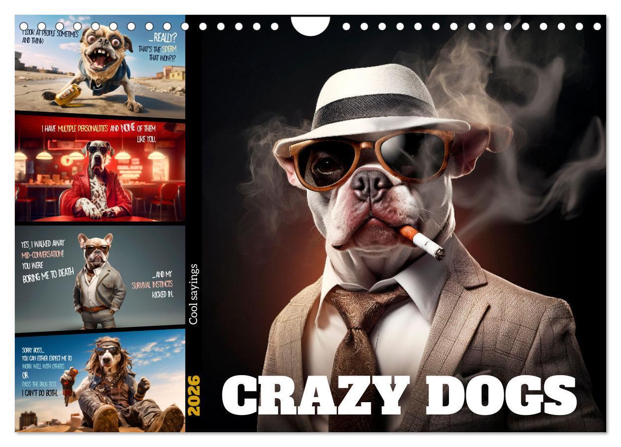 Crazy dogs COOL SAYINGS (Wall Calendar 2026 DIN A4 landscape) CALVENDO 12 Month Wall Calendar