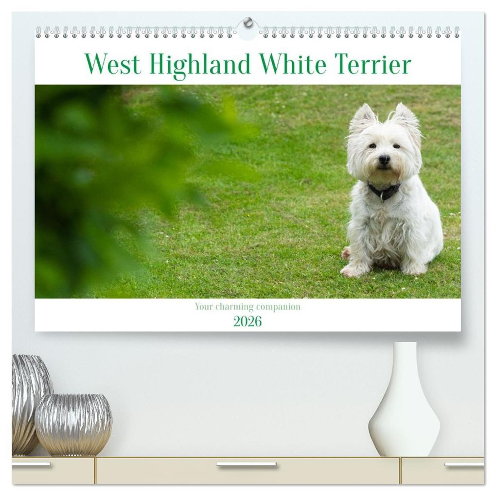 West Highland White Terrier - Your charming companion (High Quality Premium Wall Calendar 2026 DIN A2 landscape)CALVENDO 12 Month Wall Calendar