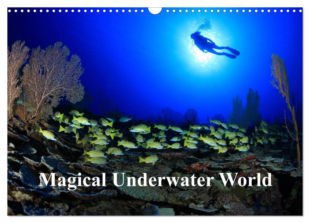 Magical Underwater World (Wall Calendar 2026 DIN A3 landscape) CALVENDO 12 Month Wall Calendar