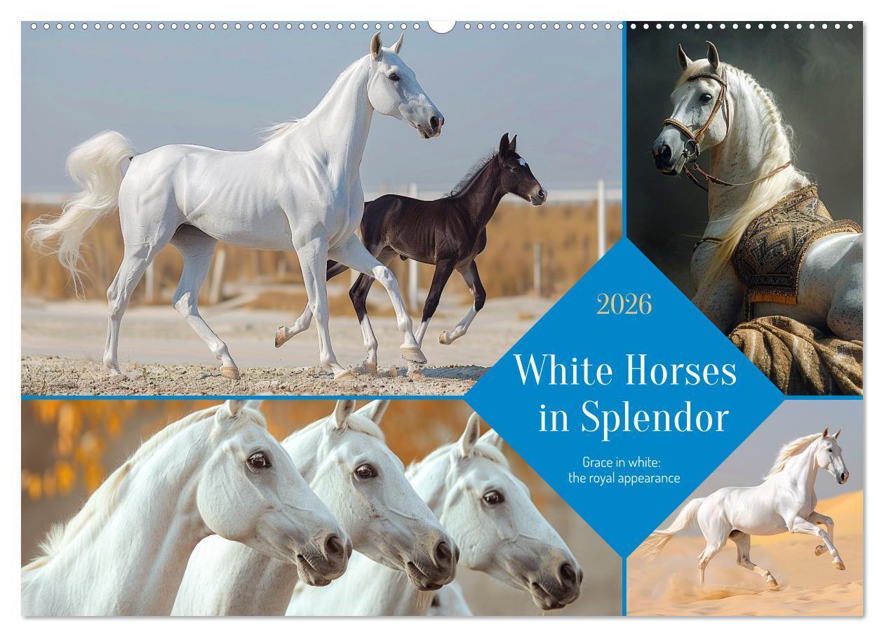 White Horses in Splendor (Wall Calendar 2026 DIN A2 landscape) CALVENDO 12 Month Wall Calendar