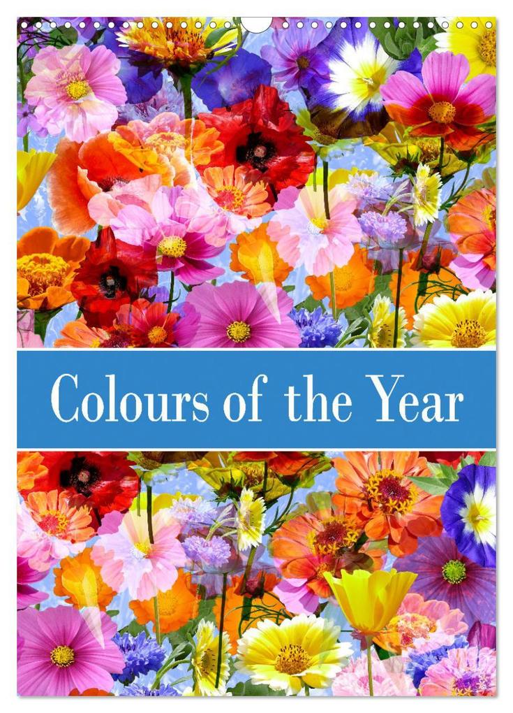 Colours of the Year (Wall Calendar 2026 DIN A3 portrait) CALVENDO 12 Month Wall Calendar