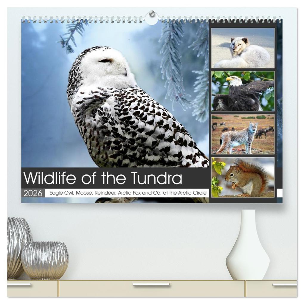 Wildlife of the Tundra (High Quality Premium Wall Calendar 2026 DIN A2 landscape)CALVENDO 12 Month Wall Calendar