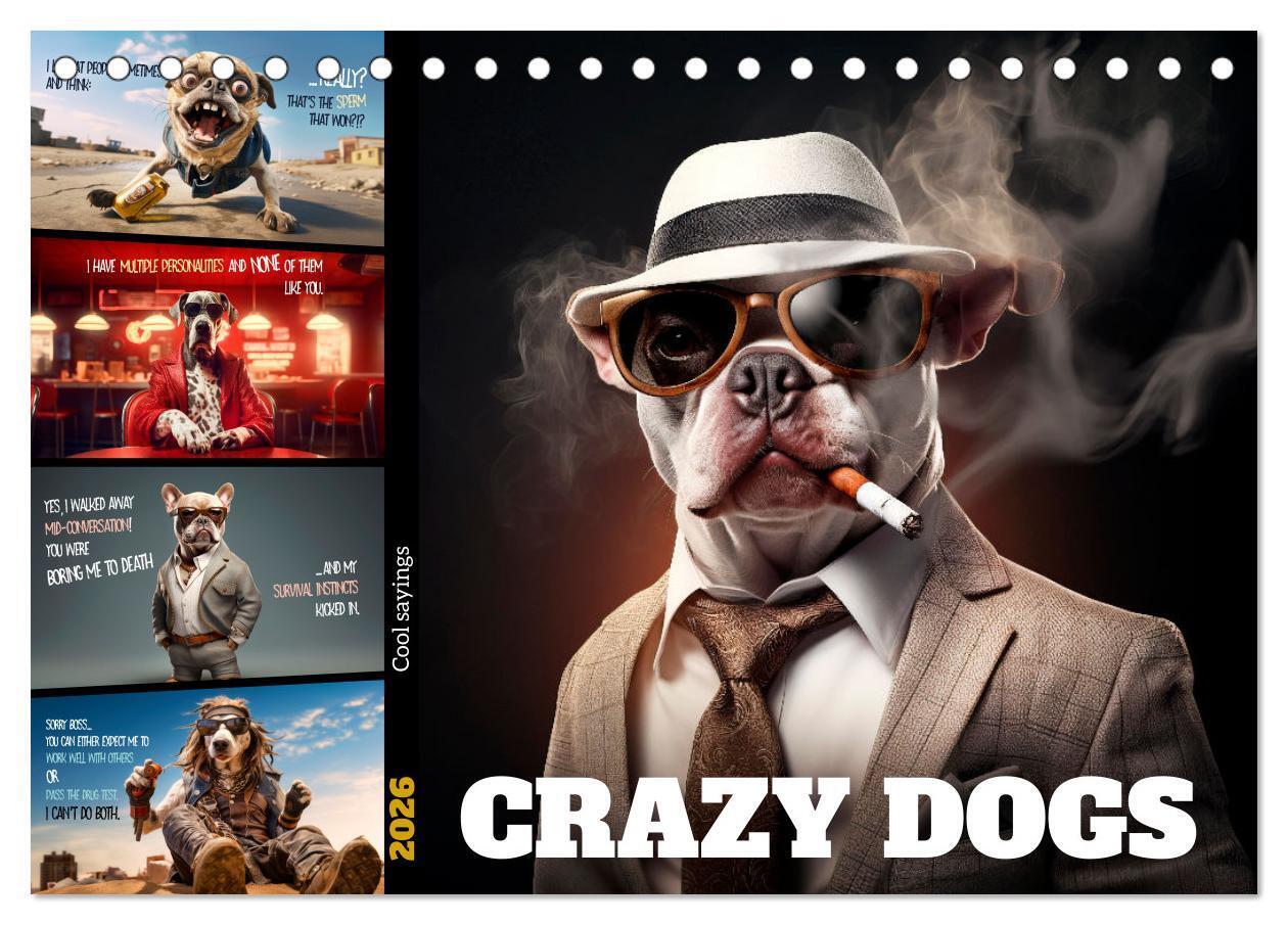 Crazy dogs COOL SAYINGS (Desk Calendar 2026 DIN A5 landscape) CALVENDO 12 Month DeskCalendar