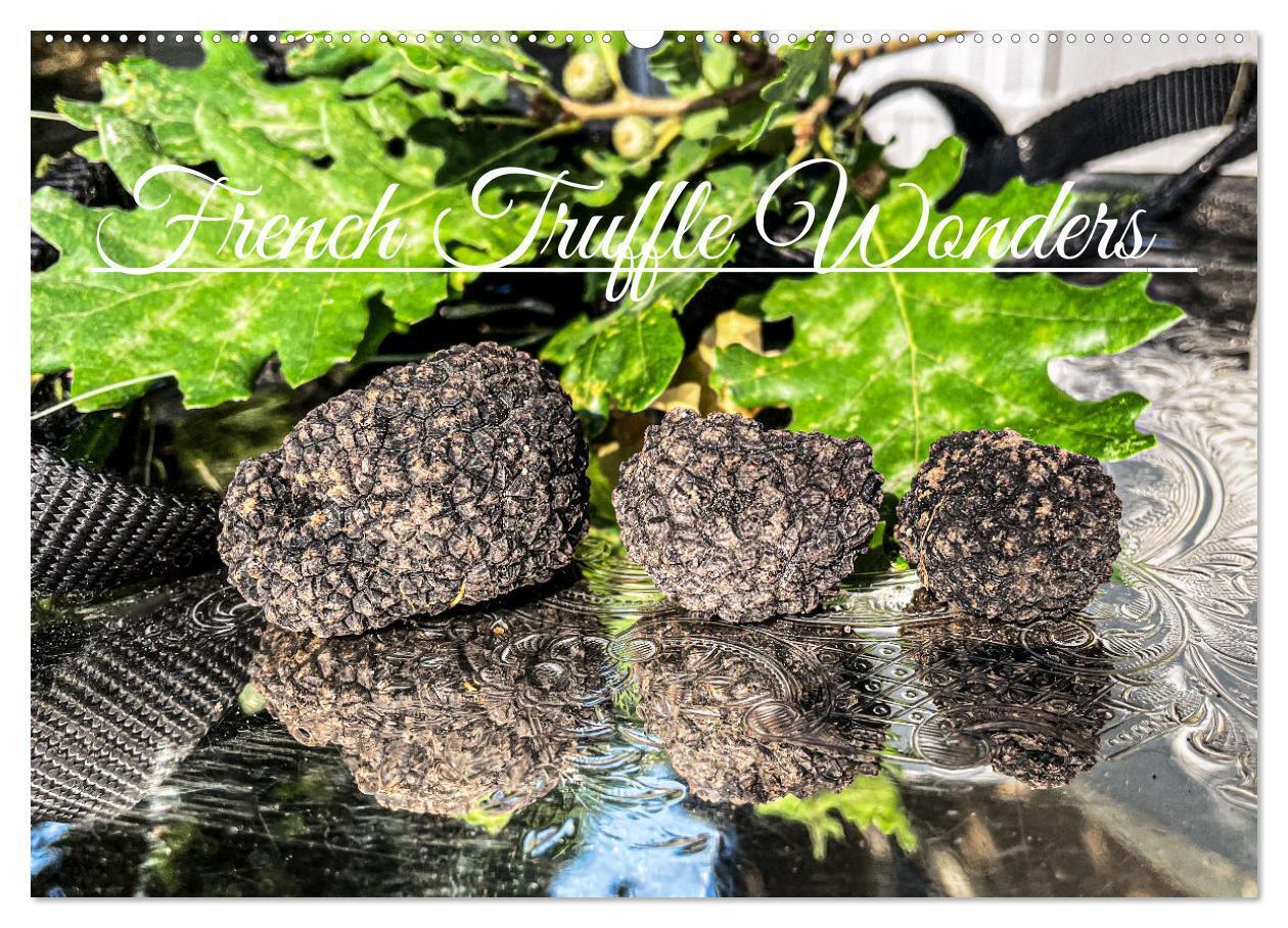 French Truffle Wonders (Wall Calendar 2026 DIN A2 landscape) CALVENDO 12 Month Wall Calendar