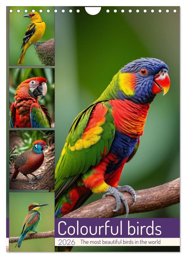 Colourful birds (Wall Calendar 2026 DIN A4 portrait) CALVENDO 12 Month Wall Calendar