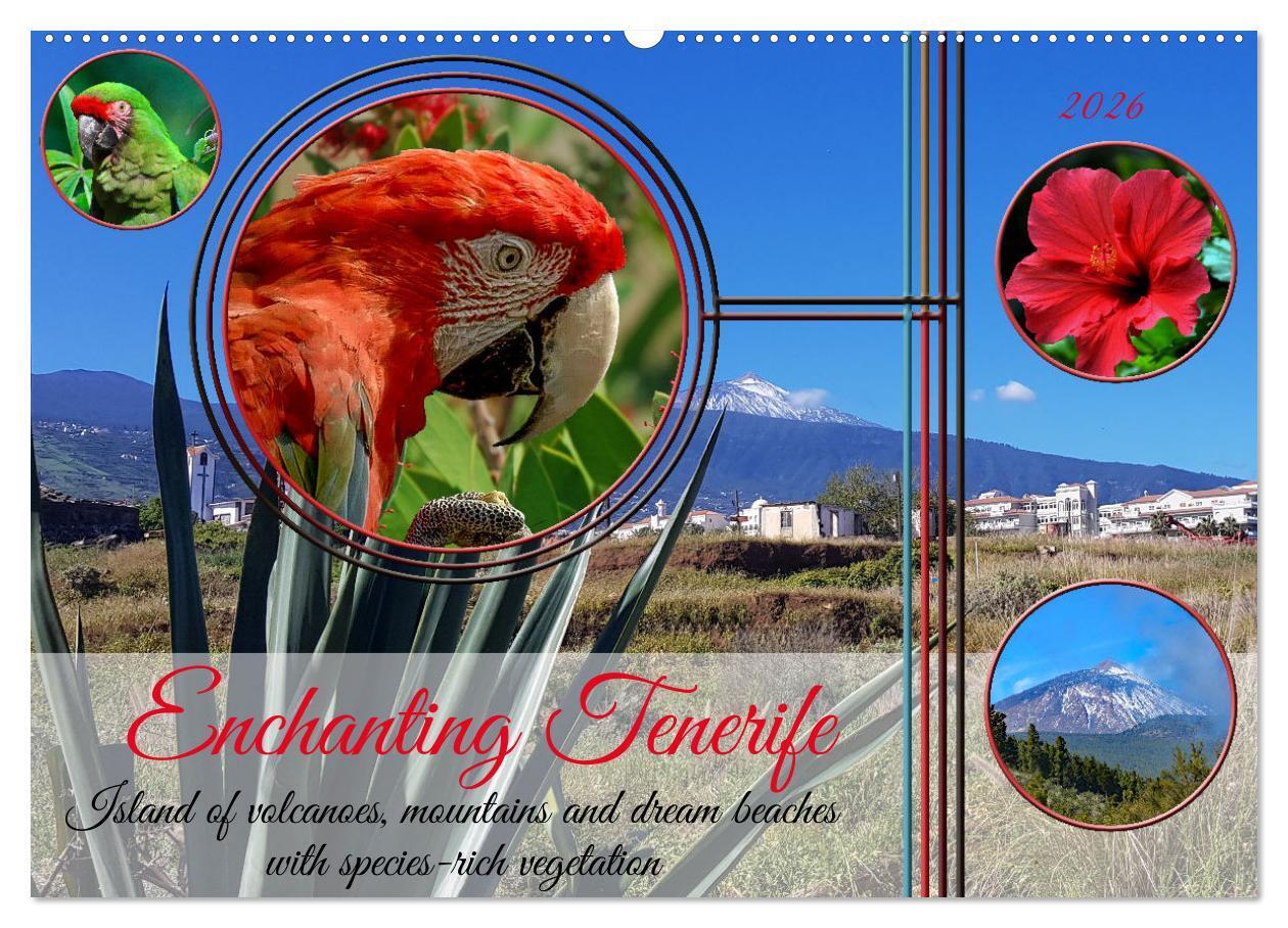 Enchanting Tenerife (Wall Calendar 2026 DIN A2 landscape) CALVENDO 12 Month Wall Calendar