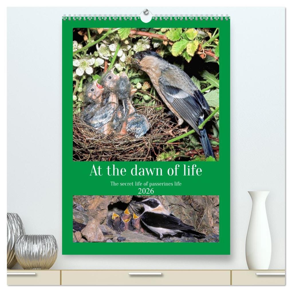 At the dawn of life the secret life of passerines (High Quality Premium Wall Calendar 2026 DIN A2 portrait)CALVENDO 12 Month Wall Calendar