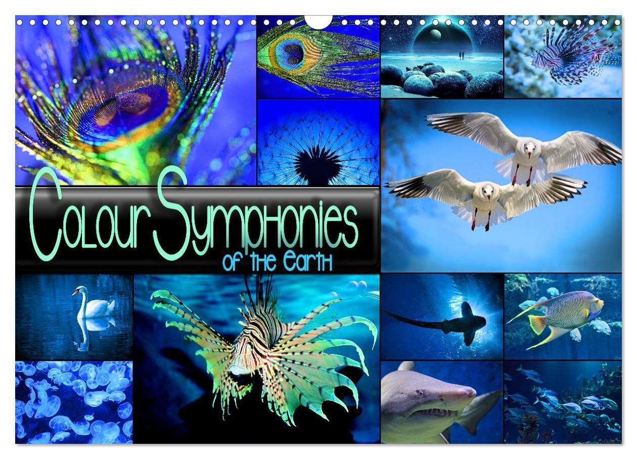 Colour Symphonies of the Earth (Wall Calendar 2026 DIN A3 landscape) CALVENDO 12 Month Wall Calendar