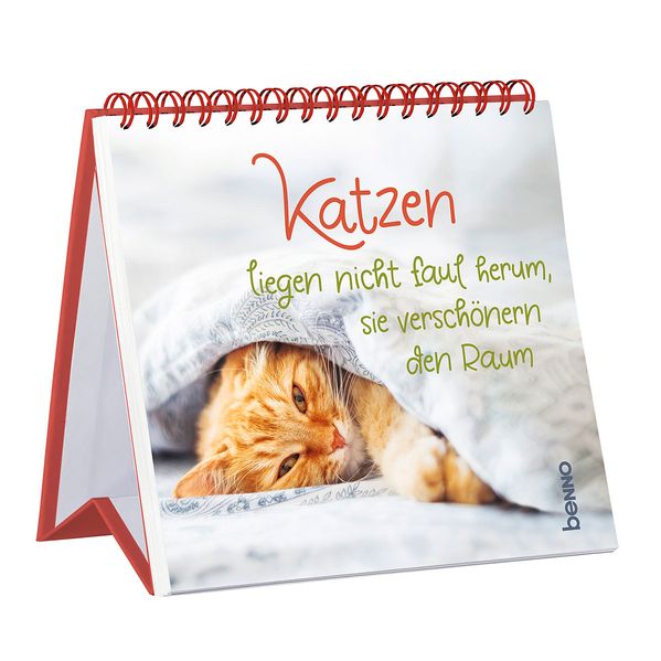 Katzen liegen nicht faul herum sie verschönern den Raum