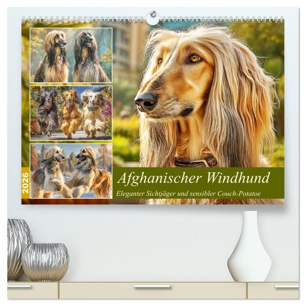 Afghanischer Windhund. Eleganter Sichtjäger und sensibler Couch-Potatoe (hochwertiger Premium Wandkalender 2026 DIN A2 quer) Kunstdruck in Hochglanz