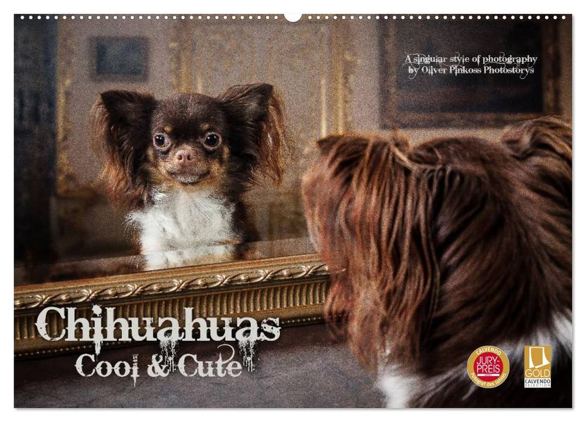 Chihuahuas - Cool and Cute (Wandkalender 2026 DIN A2 quer) CALVENDO Monatskalender