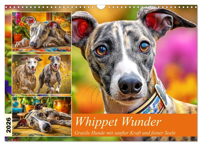 Whippet Wunder. Grazile Hunde mit sanfter Kraft und feiner Seele (Wandkalender 2026 DIN A3 quer) CALVENDO Monatskalender