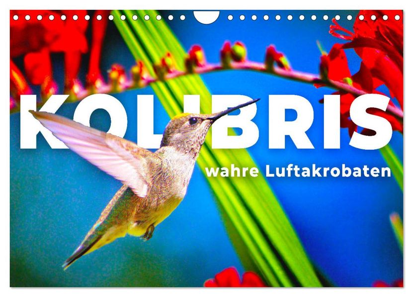 Kolibris - wahre Luftakrobaten (Wandkalender 2026 DIN A4 quer) CALVENDO Monatskalender