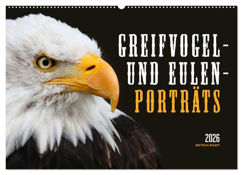 GREIFVOGEL- UND EULENPORTRÄTS (Wandkalender 2026 DIN A2 quer) CALVENDO Monatskalender