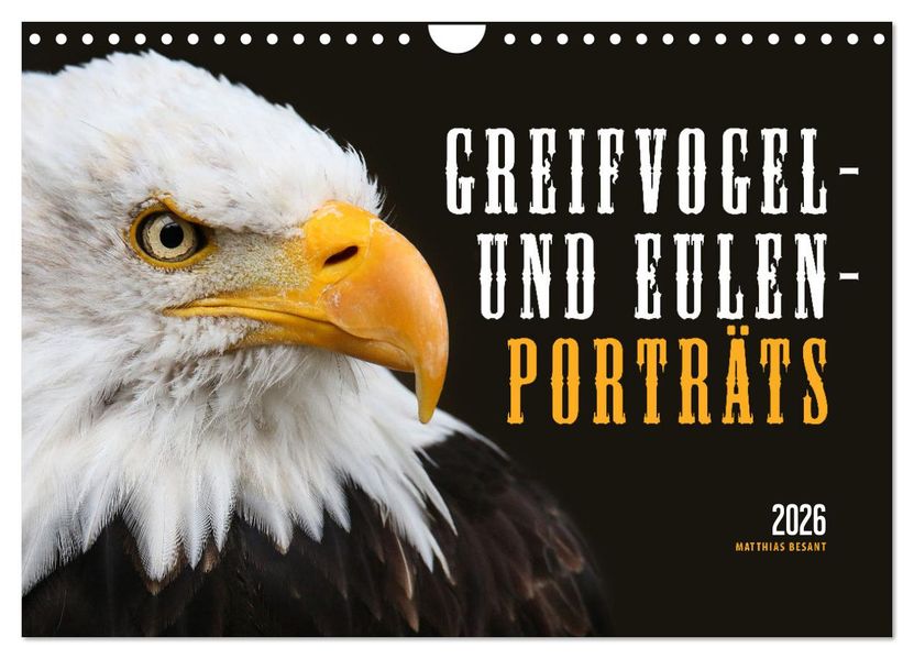 GREIFVOGEL- UND EULENPORTRÄTS (Wandkalender 2026 DIN A4 quer) CALVENDO Monatskalender