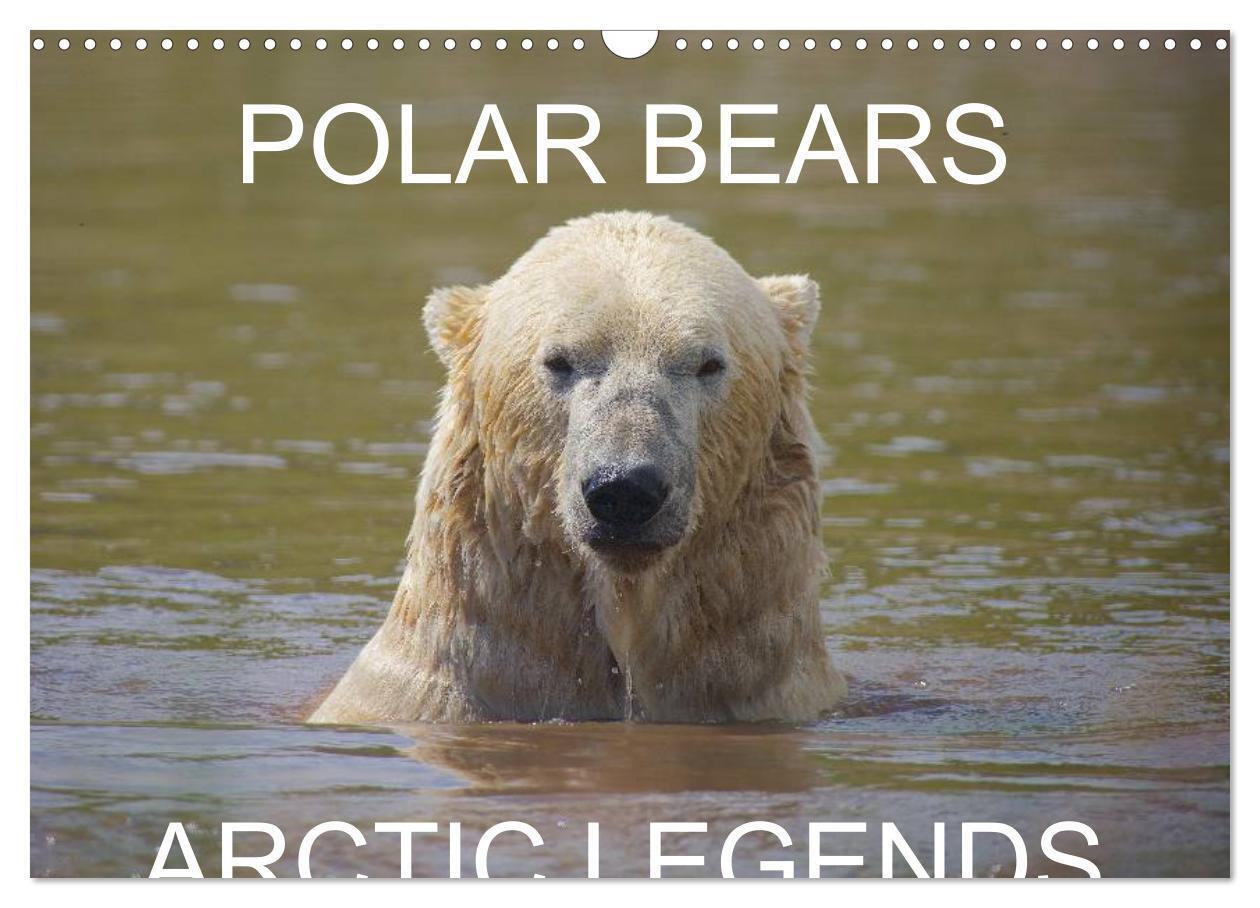 POLAR BEARS - ARCTIC LEGENDS (Wall Calendar 2026 DIN A3 landscape) CALVENDO 12 Month Wall Calendar