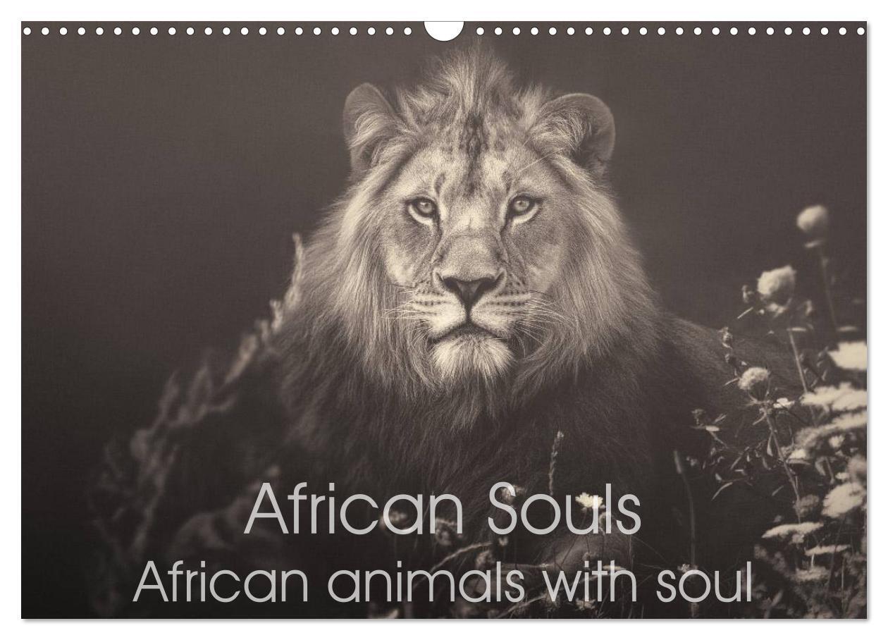 African Souls African animals with soul (Wall Calendar 2026 DIN A3 landscape) CALVENDO 12 Month Wall Calendar