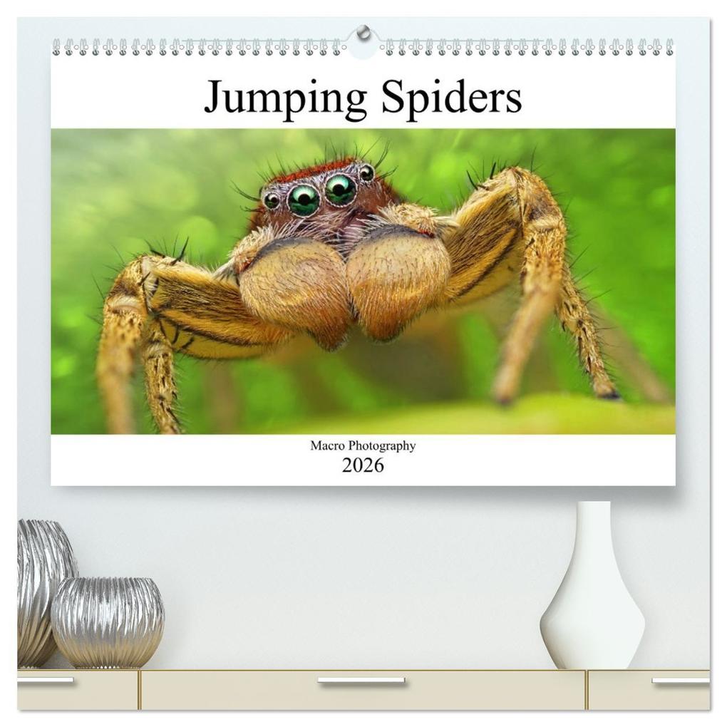 Jumping Spiders (High Quality Premium Wall Calendar 2026 DIN A2 landscape)CALVENDO 12 Month Wall Calendar