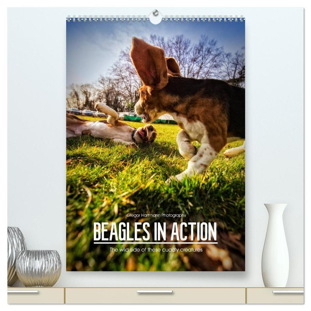 Beagles in action (High Quality Premium Wall Calendar 2026 DIN A2 portrait)CALVENDO 12 Month Wall Calendar
