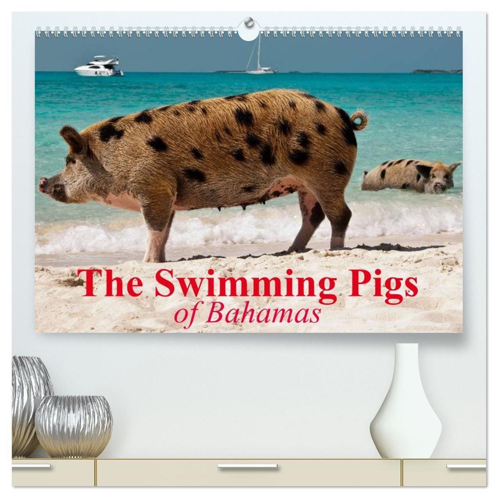 The Swimming Pigs of Bahamas (High Quality Premium Wall Calendar 2026 DIN A2 landscape)CALVENDO 12 Month Wall Calendar
