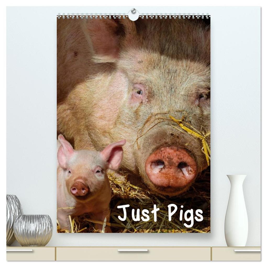 Just Pigs (High Quality Premium Wall Calendar 2026 DIN A2 portrait)CALVENDO 12 Month Wall Calendar