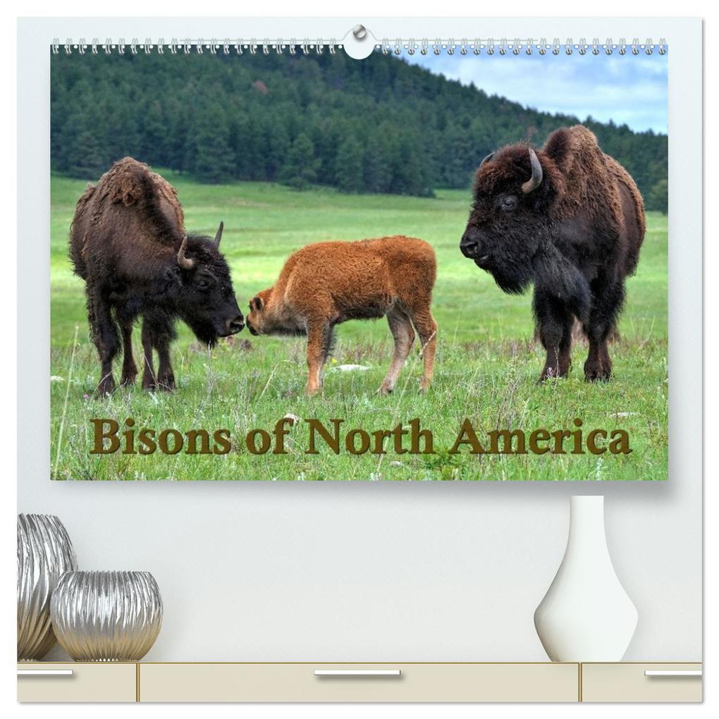 Bisons of North America (High Quality Premium Wall Calendar 2026 DIN A2 landscape)CALVENDO 12 Month Wall Calendar