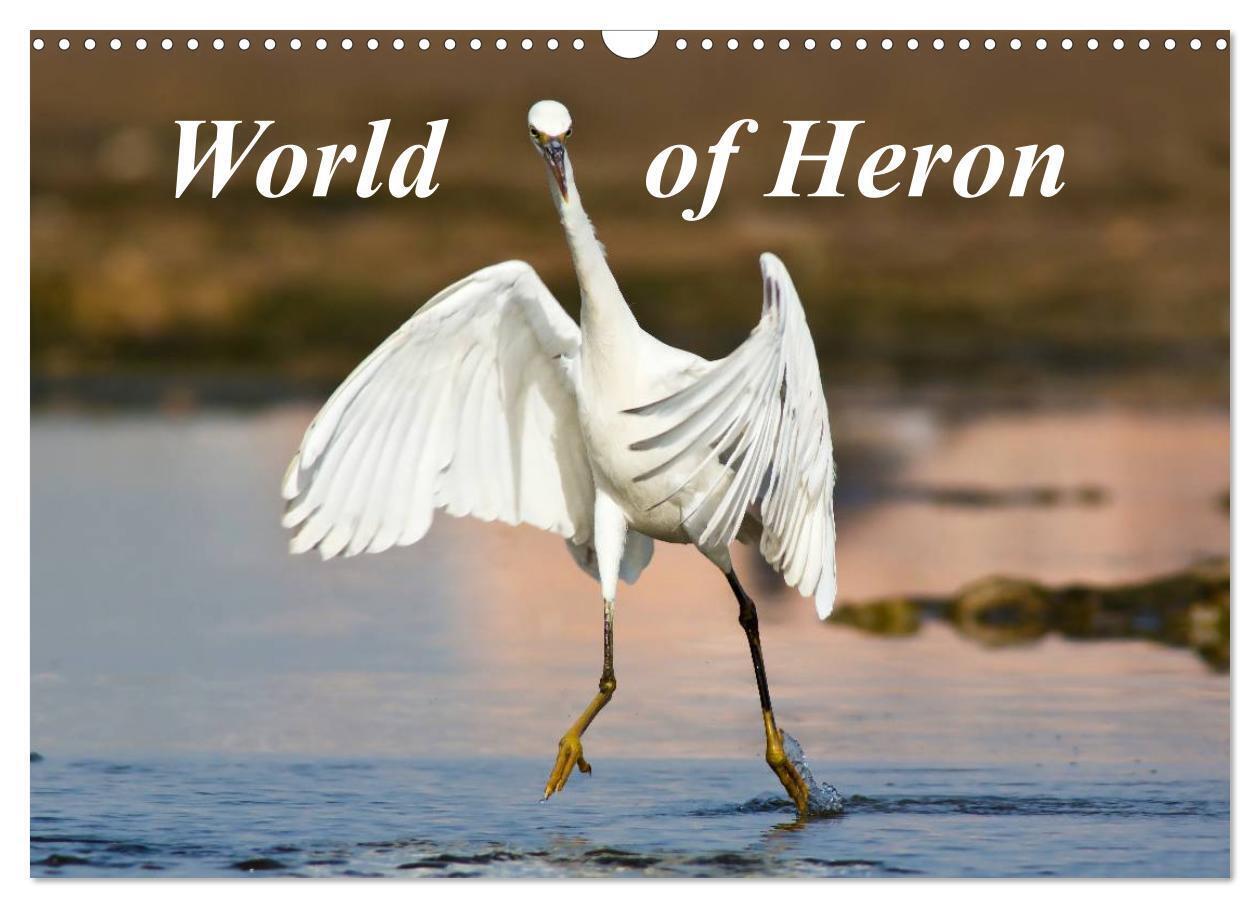 World of Heron (Wall Calendar 2026 DIN A3 landscape) CALVENDO 12 Month Wall Calendar