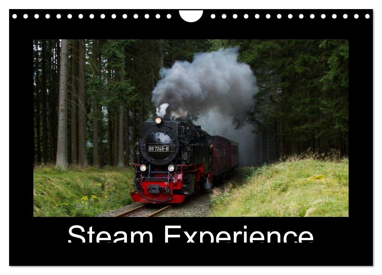 Steam Experience (Wall Calendar 2026 DIN A4 landscape) CALVENDO 12 Month Wall Calendar