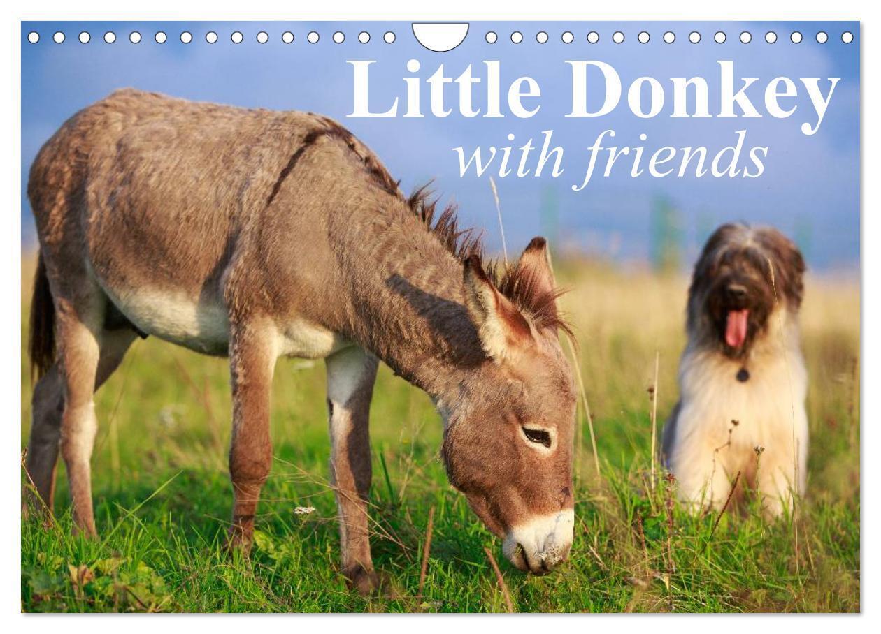 Little Donkey with Friends (Wall Calendar 2026 DIN A4 landscape) CALVENDO 12 Month Wall Calendar