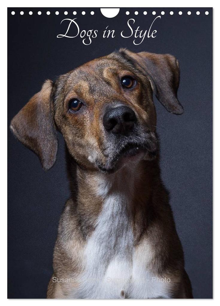 Dogs in Style (Wall Calendar 2026 DIN A4 portrait) CALVENDO 12 Month Wall Calendar