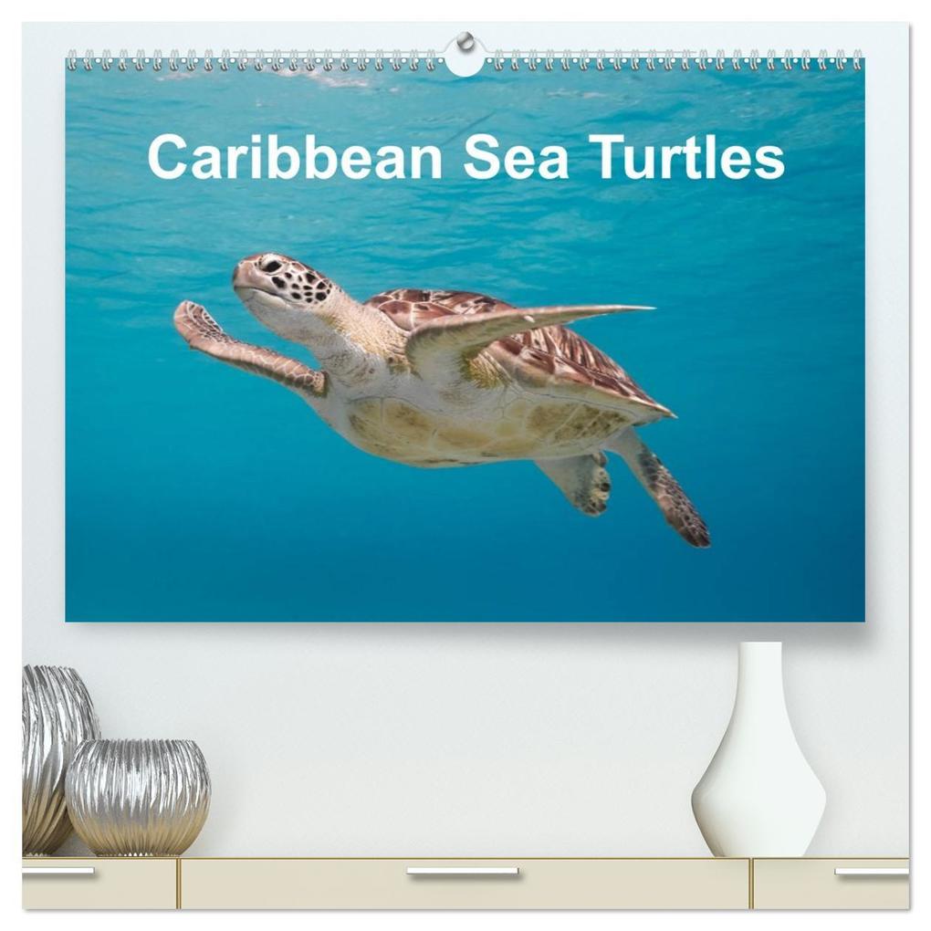 Caribbean Sea Turtles (High Quality Premium Wall Calendar 2026 DIN A2 landscape)CALVENDO 12 Month Wall Calendar