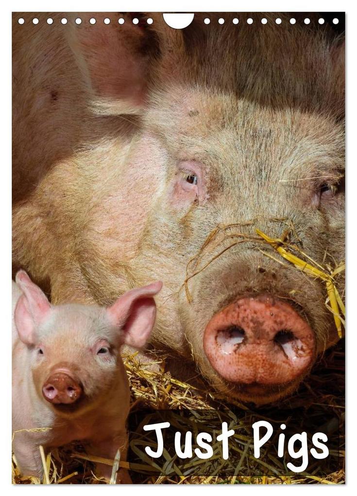Just Pigs (Wall Calendar 2026 DIN A4 portrait) CALVENDO 12 Month Wall Calendar