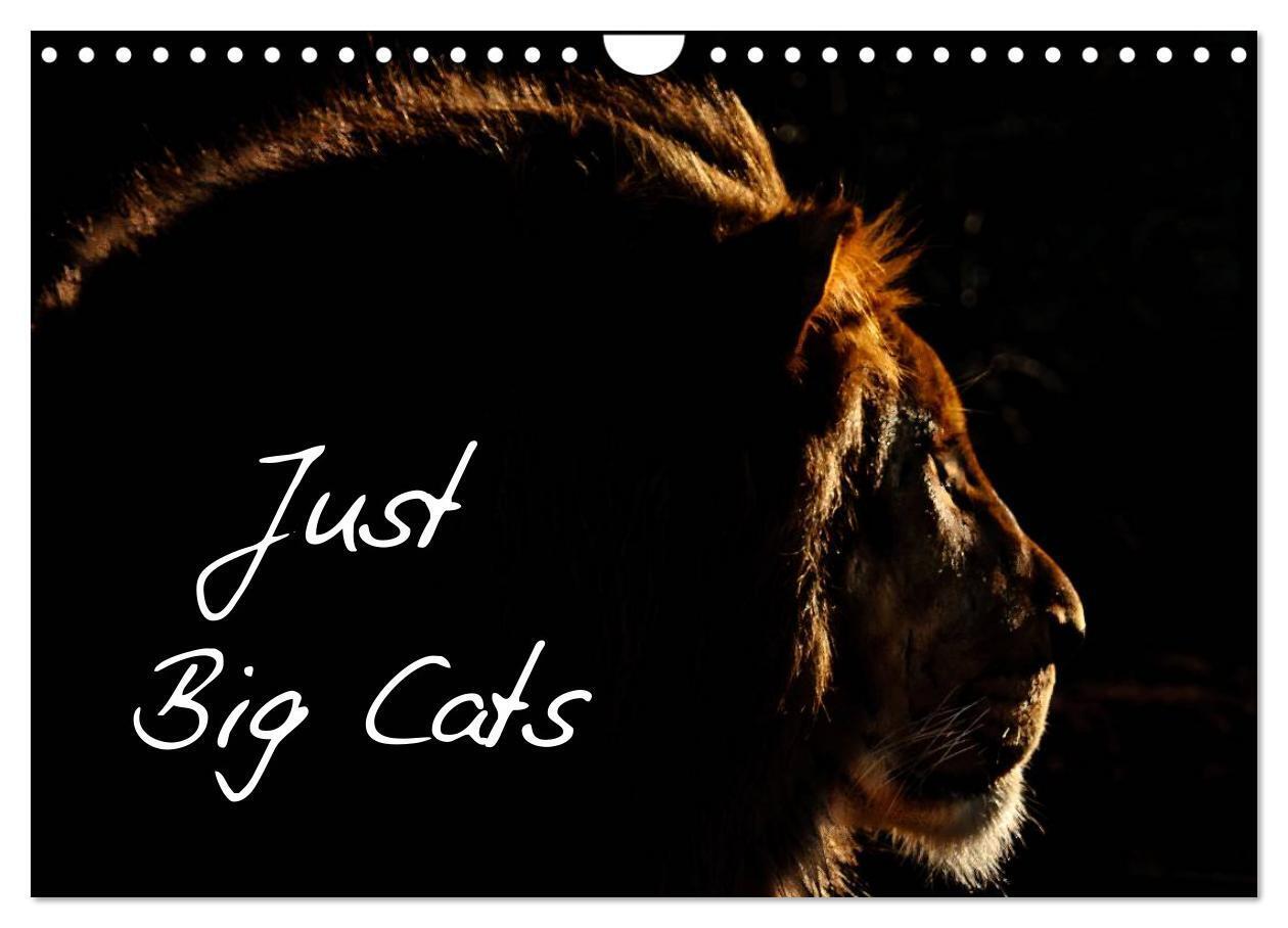 Just Big Cats (Wall Calendar 2026 DIN A4 landscape) CALVENDO 12 Month Wall Calendar